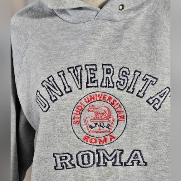 Lemon Collection Univerita Roma Italian Gray College Hoodie - Picture 6 of 9